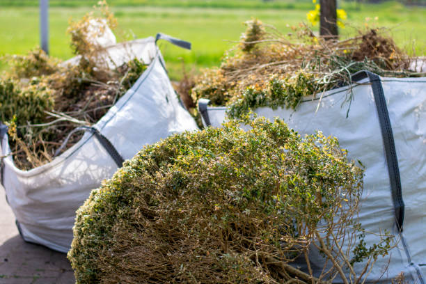 Best Yard Cleanup Services  in Brimfield, OH